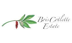 Logo6