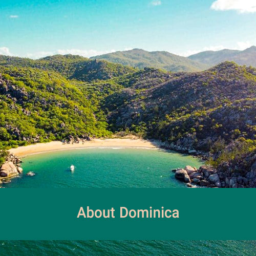About Dominica